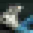 Mr_Lover