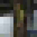 Phorus