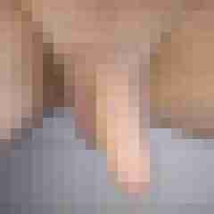 Felixhot