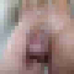 Grobi31