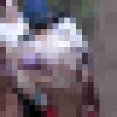 picturefreak