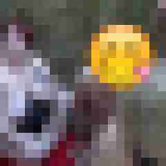picturefreak