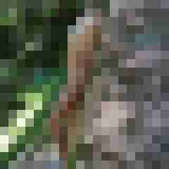 Wifesharing_KA