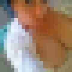 Mistbiene