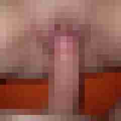 Stefan8273