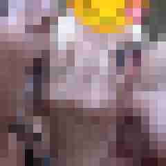 picturefreak