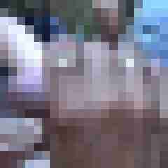 picturefreak