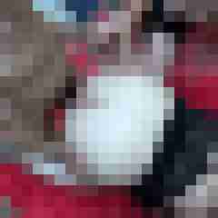 picturefreak