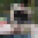 heiher