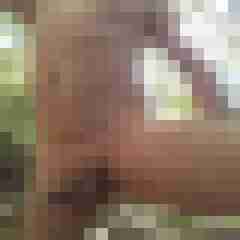 exib1