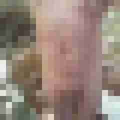 exib1