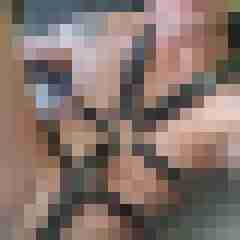 ramm000