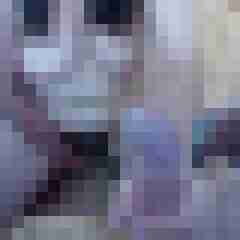 alexpetra