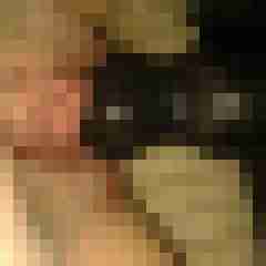 alexpetra