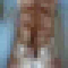 nacktmull