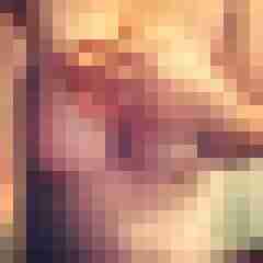 YvoR