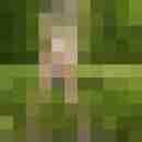 chris_iris