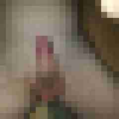 LustSpender81
