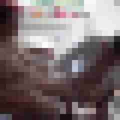 picturefreak
