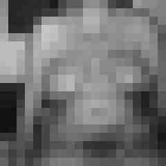 arschstute
