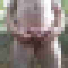 exib1
