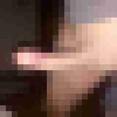 patte83