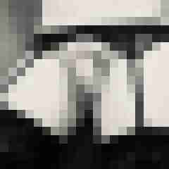 signothetimes