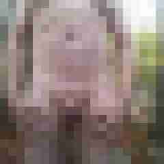 exib1