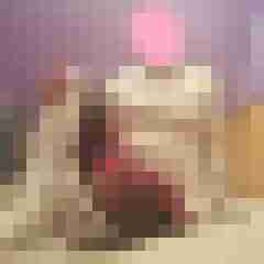 Nylonboy57