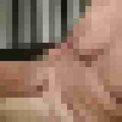 bikerfan666