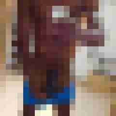 blackbit