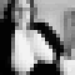 Bbw-Stute