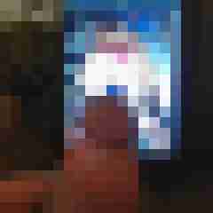 pichunters
