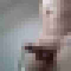 exib1