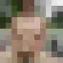 nippel58