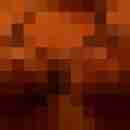 Rixi