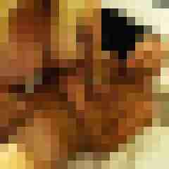 picturefreak