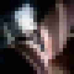 imsi