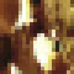 picturefreak