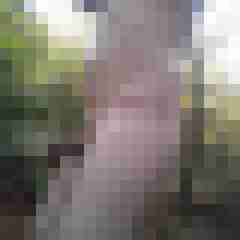 exib1