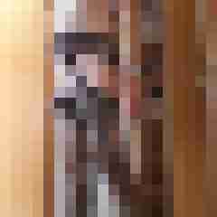Nylonboy57