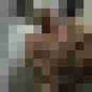 annadevot