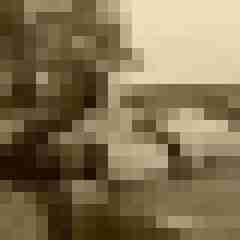 Eule_41