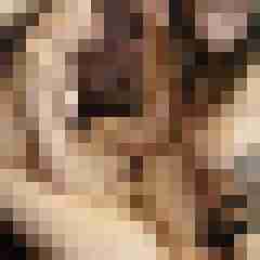 Foto-Schorsch