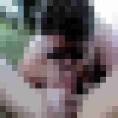 picturefreak