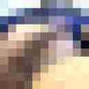 seppl6
