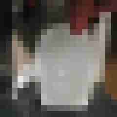 noctolus