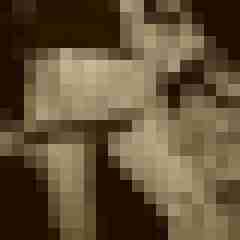 Eule_41