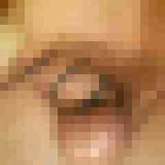 exib1