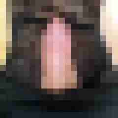 satiner